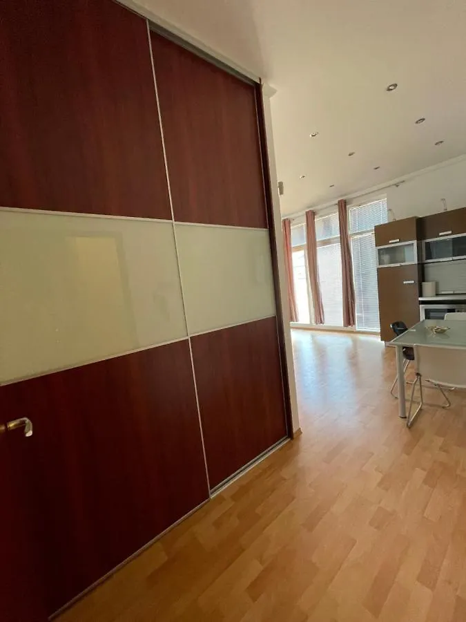 Budapest Rooftop Penthouse - Big Terrace Apartment
